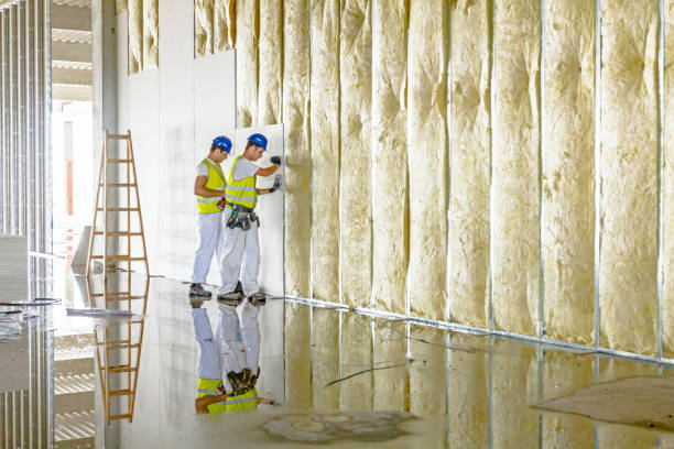 Best Types of Insulation in South Gate Ridge, FL